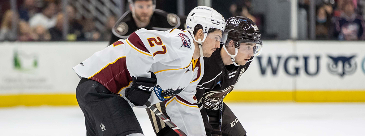 Monsters defeated in 4-1 loss to Bears