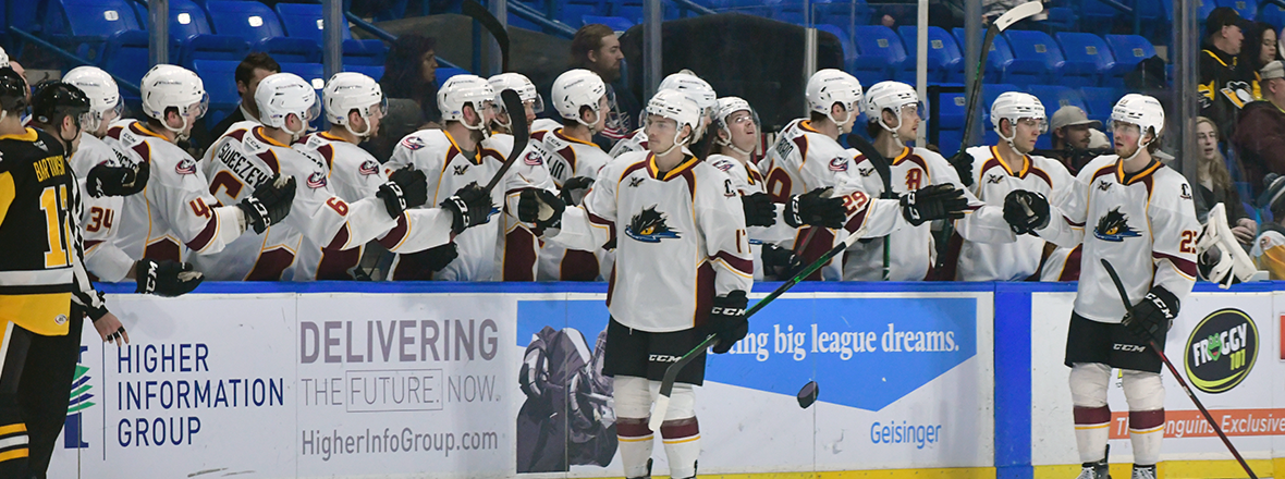 Monsters battle back for 3-2 overtime victory